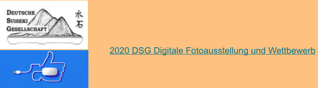 2020 DSG Digitale Fotoausstellung und Wettbewerb