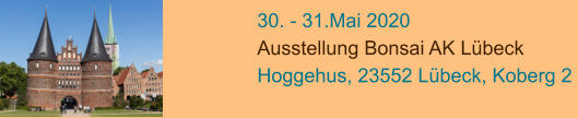 30. - 31.Mai 2020 Ausstellung Bonsai AK Lübeck Hoggehus, 23552 Lübeck, Koberg 2