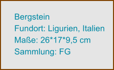 Bergstein Fundort: Ligurien, Italien Maße: 26*17*9,5 cm Sammlung: FG