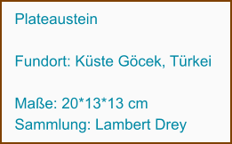 Plateaustein   Fundort: Küste Göcek, Türkei                 Maße: 20*13*13 cm Sammlung: Lambert Drey