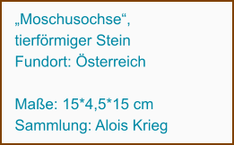 „Moschusochse“,  tierförmiger Stein Fundort: Österreich                  Maße: 15*4,5*15 cm Sammlung: Alois Krieg