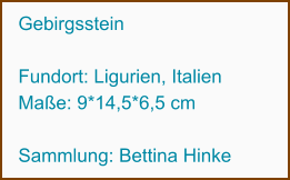 Gebirgsstein  Fundort: Ligurien, Italien Maße: 9*14,5*6,5 cm  Sammlung: Bettina Hinke